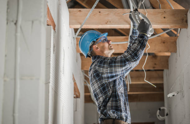 Best Electrical System Inspection  in Wlowbrook, IL