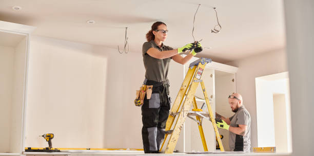 Best Home Electrical Repair  in Wlowbrook, IL